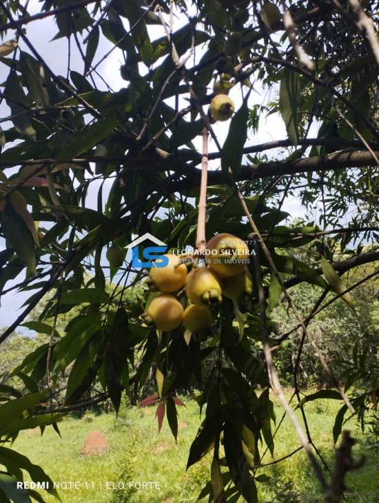 fazenda-venda-itatiaiucu-21-hectares-805268