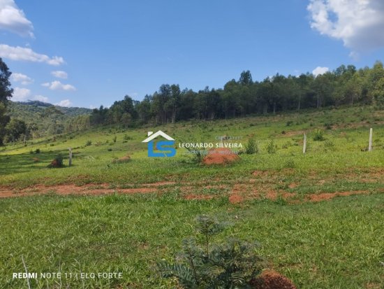 fazenda-venda-itatiaiucu-21-hectares-805269