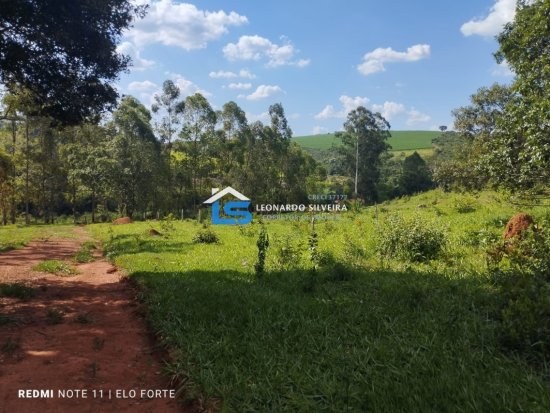 fazenda-venda-itatiaiucu-21-hectares-805270