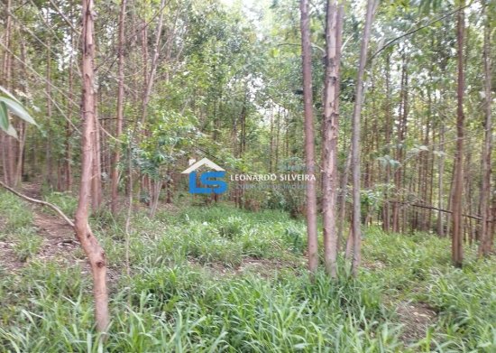 fazenda-venda-itaguara-80-hectares-813719