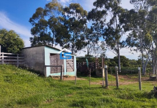 fazenda-venda-itaguara-80-hectares-813709