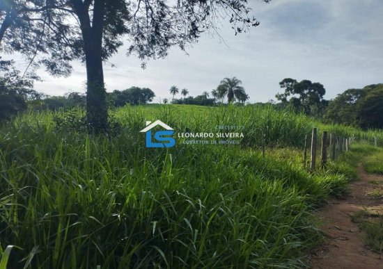 fazenda-venda-itaguara-80-hectares-813711