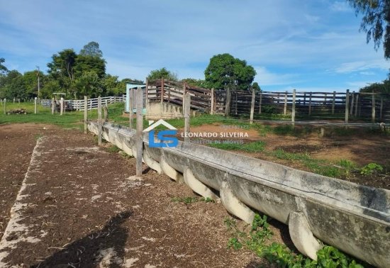 fazenda-venda-itaguara-80-hectares-813713
