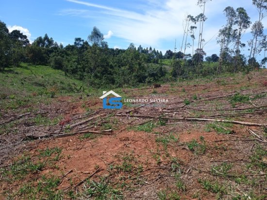 fazenda-venda-itatiaiucu-974362