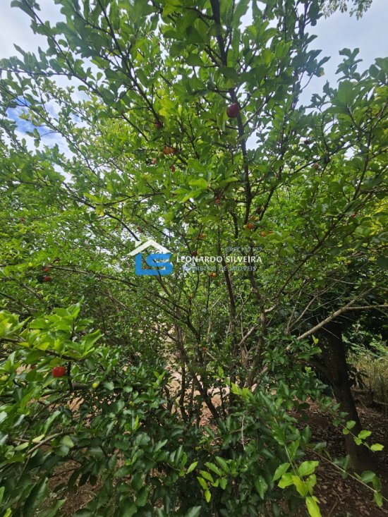chacara-venda-esmeraldas-1400-m&sup2;-1084988