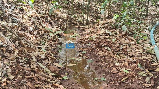 chacara-venda-mateus-leme-500-m&sup2;-1061259