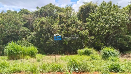chacara-venda-mateus-leme-500-m&sup2;-1061264