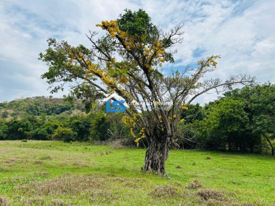 chacara-venda-itaguara-943710