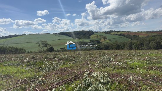 chacara-venda-itatiaiucu-20-000-m&sup2;-1073672