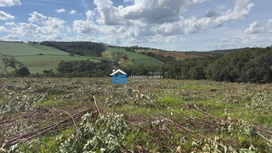 chacara-venda-itatiaiucu-20-000-m&sup2;-1073674