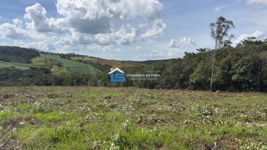 chacara-venda-itatiaiucu-20-000-m&sup2;-1073676