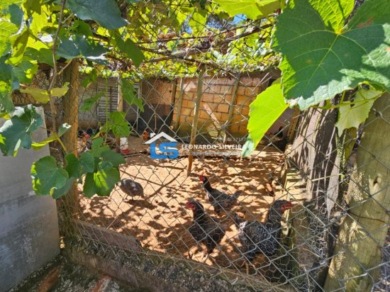 chacara-venda-itatiaiucu-2800-m&sup2;-1079297