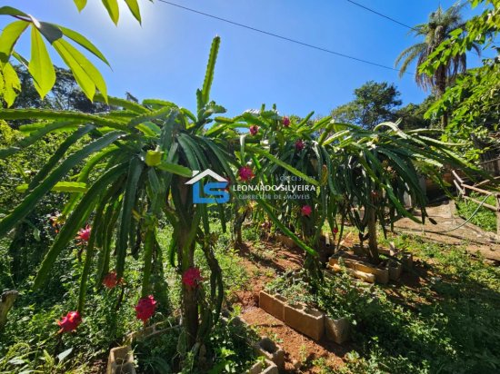 chacara-venda-itatiaiucu-2800-m&sup2;-1079298