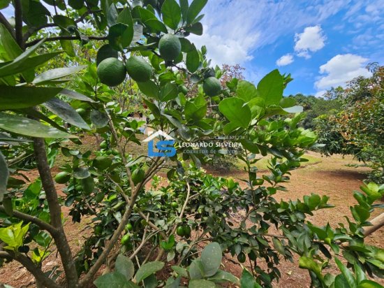 chacara-venda-itatiaiucu-2800-m&sup2;-1079290