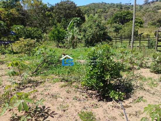 chacara-venda-mateus-leme-1650-m&sup2;-1079300