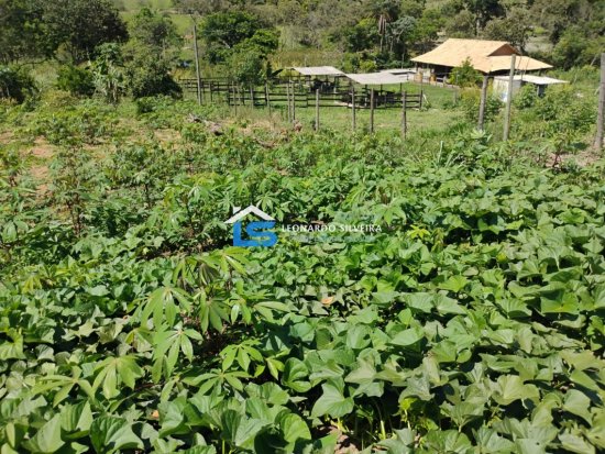 chacara-venda-mateus-leme-1650-m&sup2;-1079309