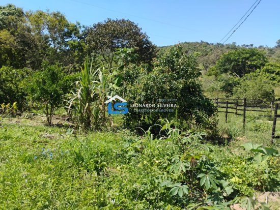 chacara-venda-mateus-leme-1650-m&sup2;-1079311