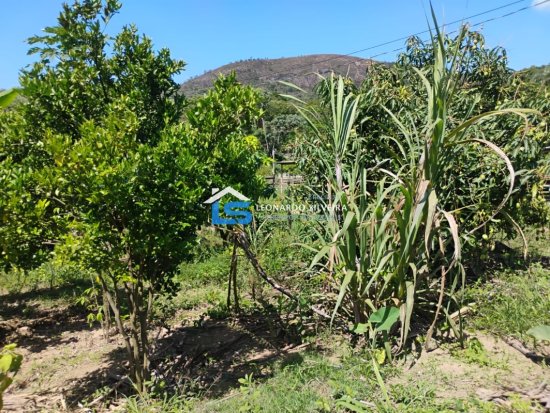 chacara-venda-mateus-leme-1650-m&sup2;-1079313