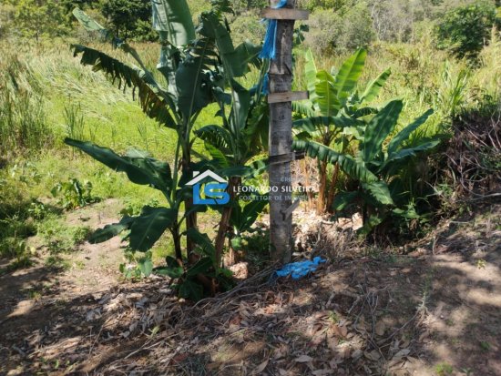 chacara-venda-mateus-leme-1650-m&sup2;-1079314