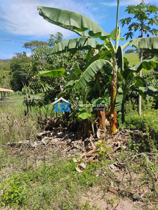 chacara-venda-mateus-leme-1650-m&sup2;-1079301