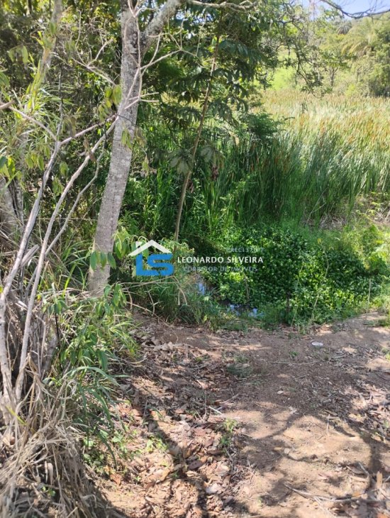 chacara-venda-mateus-leme-1650-m&sup2;-1079303