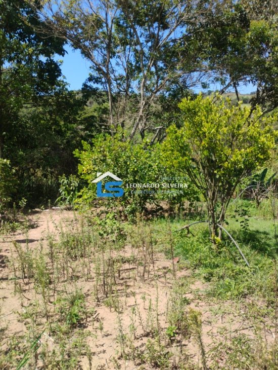 chacara-venda-mateus-leme-1650-m&sup2;-1079308