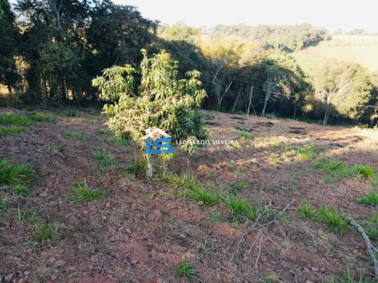 chacara-venda-mateus-leme-1000-m&sup2;-912298