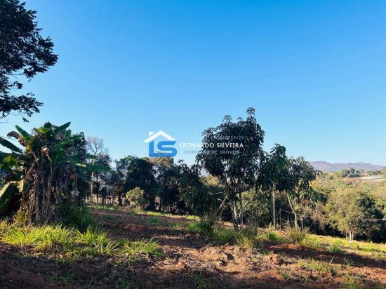 chacara-venda-mateus-leme-1000-m&sup2;-912299