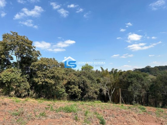 chacara-venda-mateus-leme-1000-m&sup2;-912310