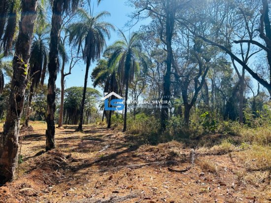 chacara-venda-mateus-leme-1000-m&sup2;-912341
