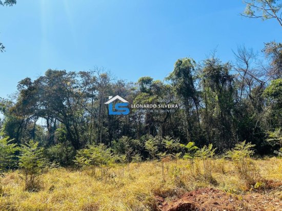 chacara-venda-mateus-leme-1000-m&sup2;-912342