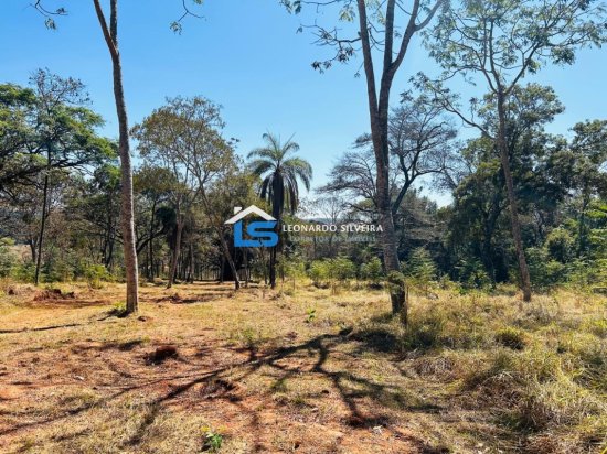 chacara-venda-mateus-leme-1000-m&sup2;-912343