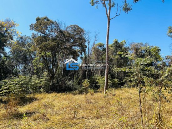 chacara-venda-mateus-leme-1000-m&sup2;-912345