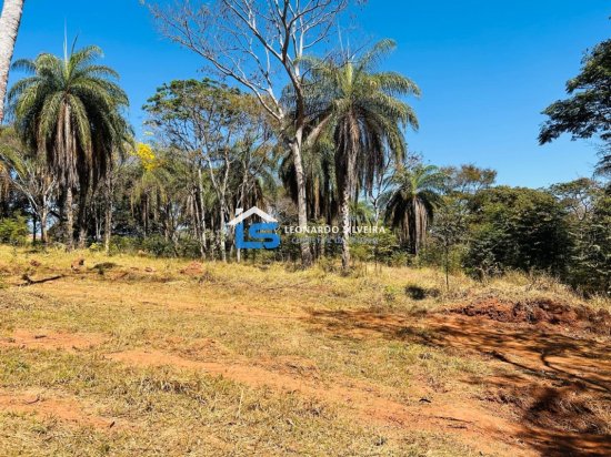 chacara-venda-mateus-leme-1000-m&sup2;-912346