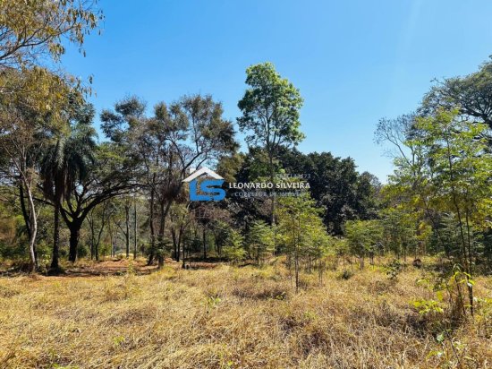 chacara-venda-mateus-leme-1000-m&sup2;-912347