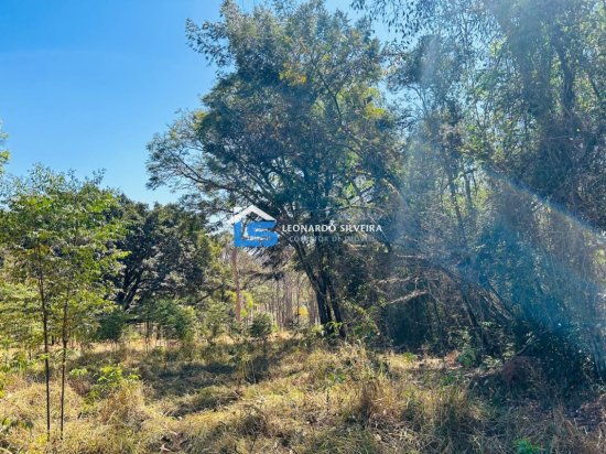 chacara-venda-mateus-leme-1000-m&sup2;-912348