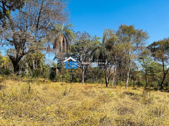 chacara-venda-mateus-leme-1000-m&sup2;-912349
