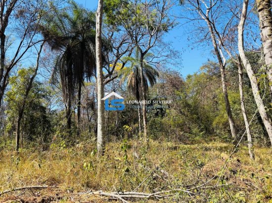 chacara-venda-mateus-leme-1000-m&sup2;-912350